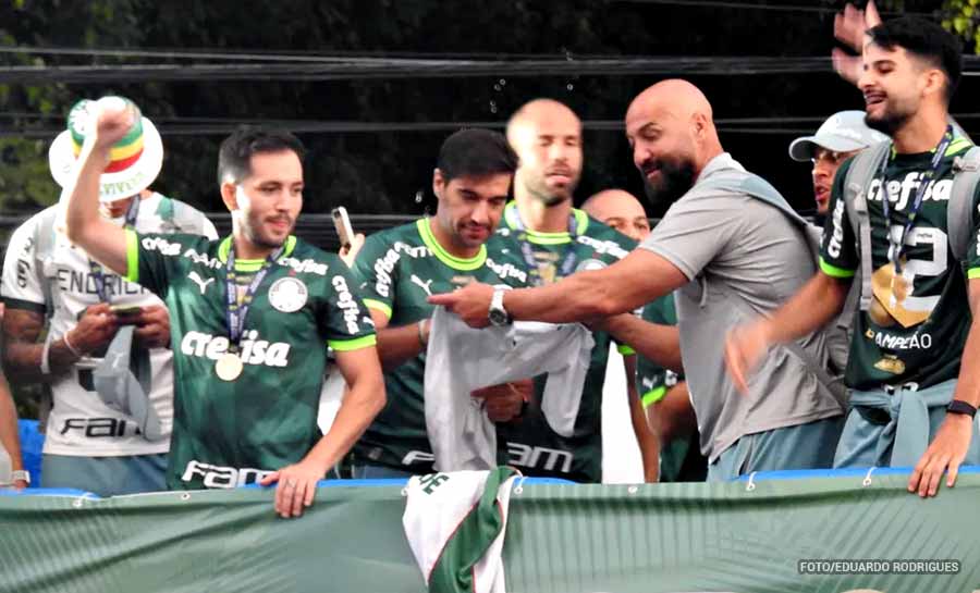 palmeiras 002