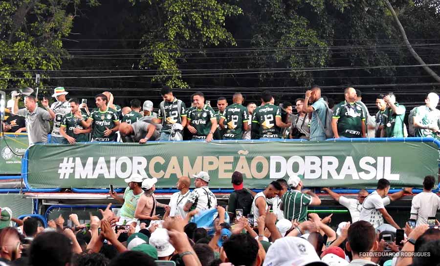 palmeiras 003