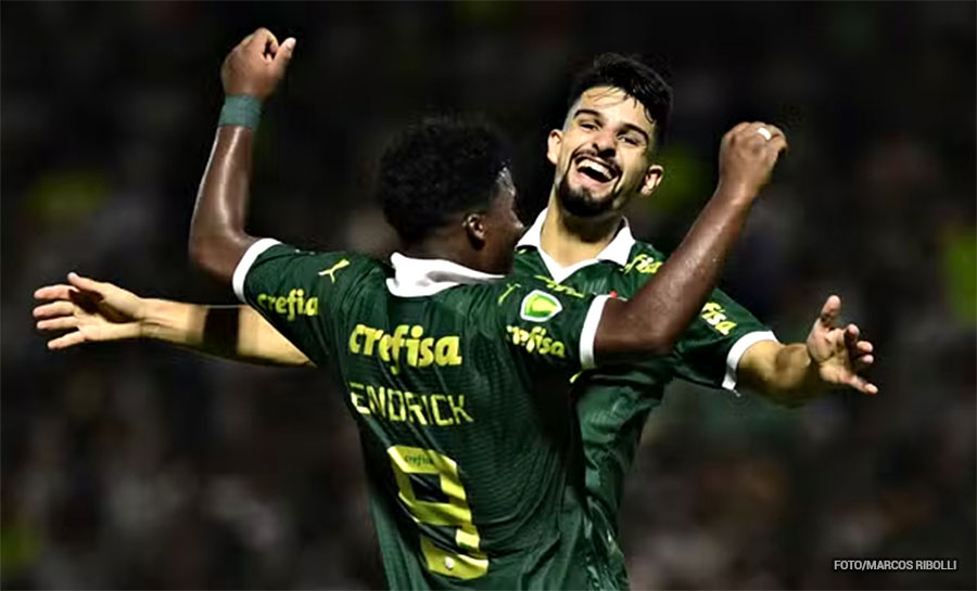 palmeiras 002